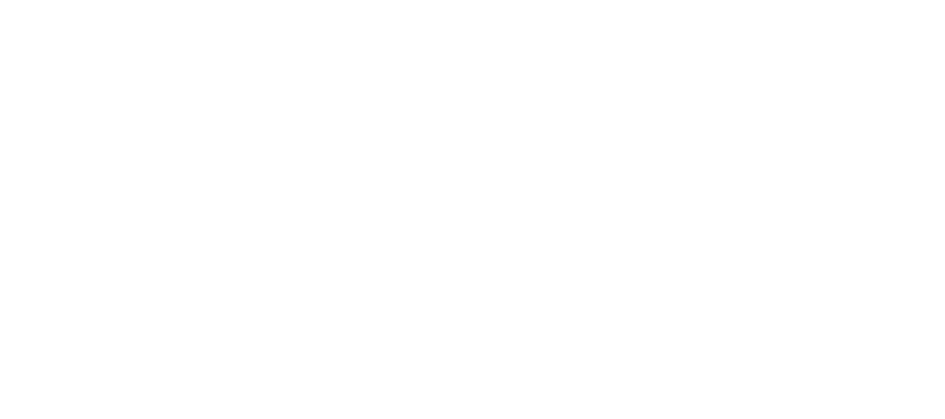 logo-flying-weels-white